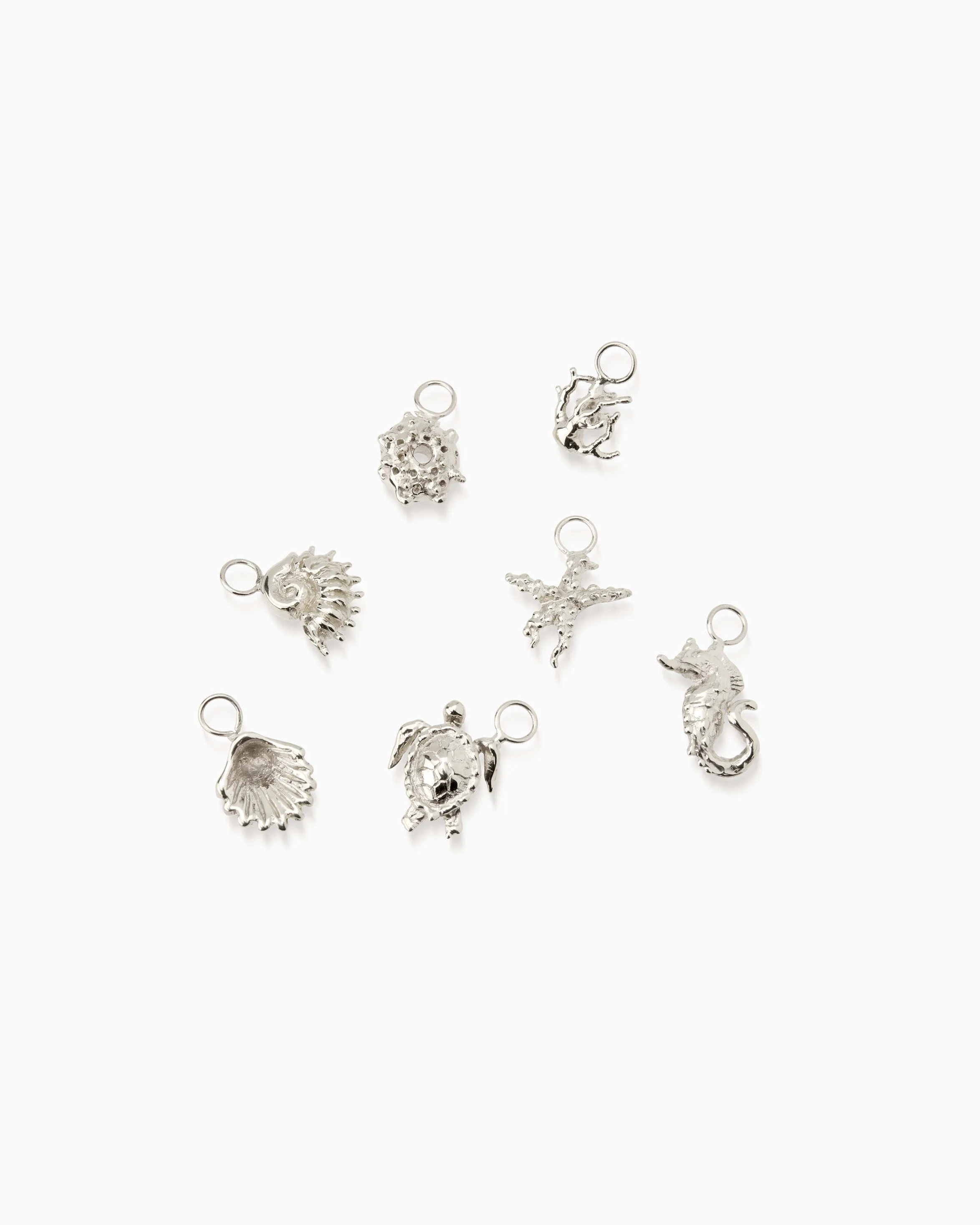 Atlantic Shell Earring | Silver