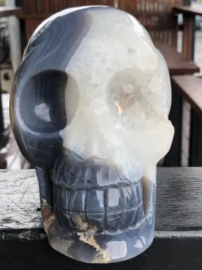 Blue Banded Agate and Quartz Geode Skull [12T76]