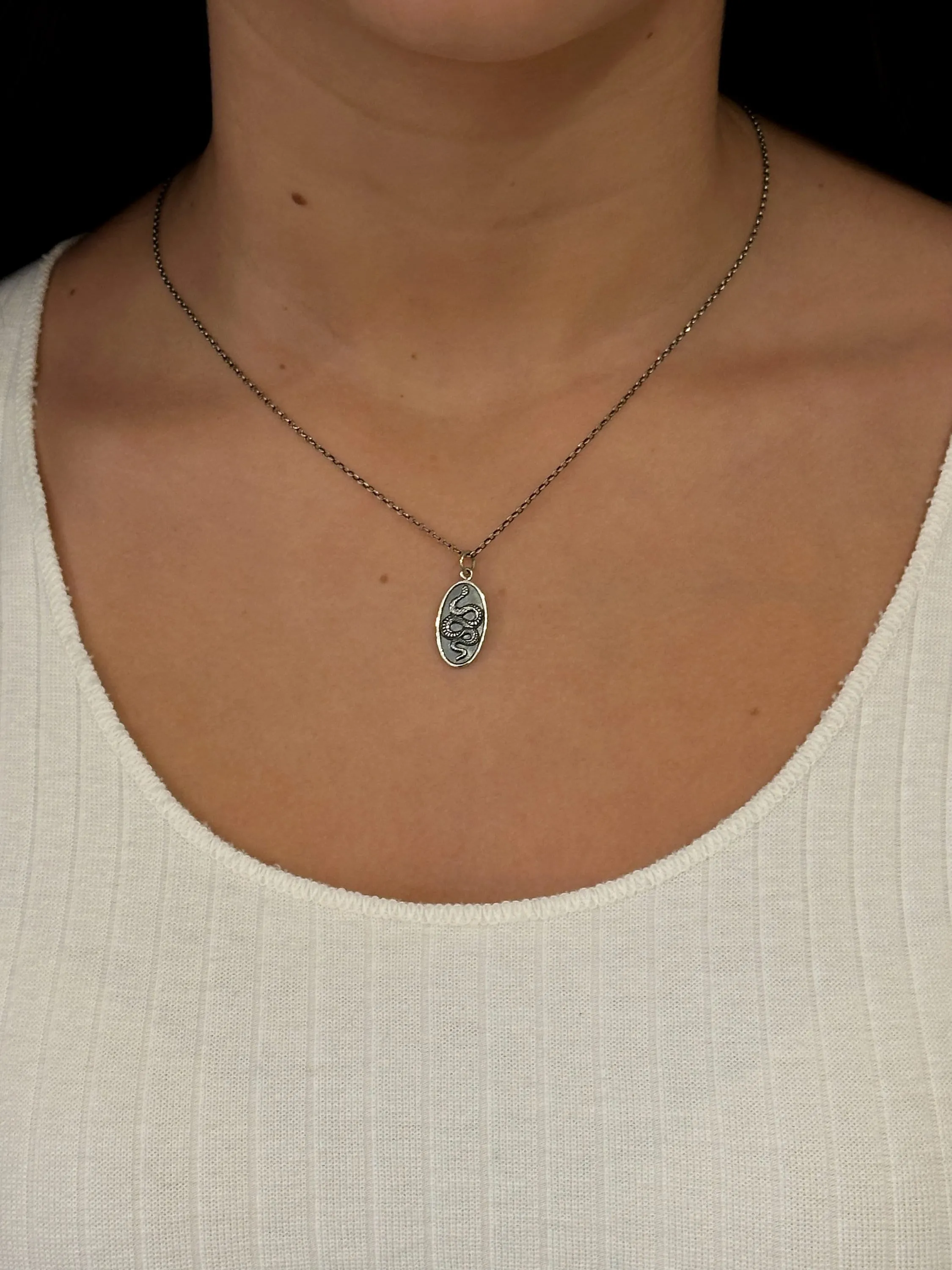 Framed Oval Snake Pendant Necklace