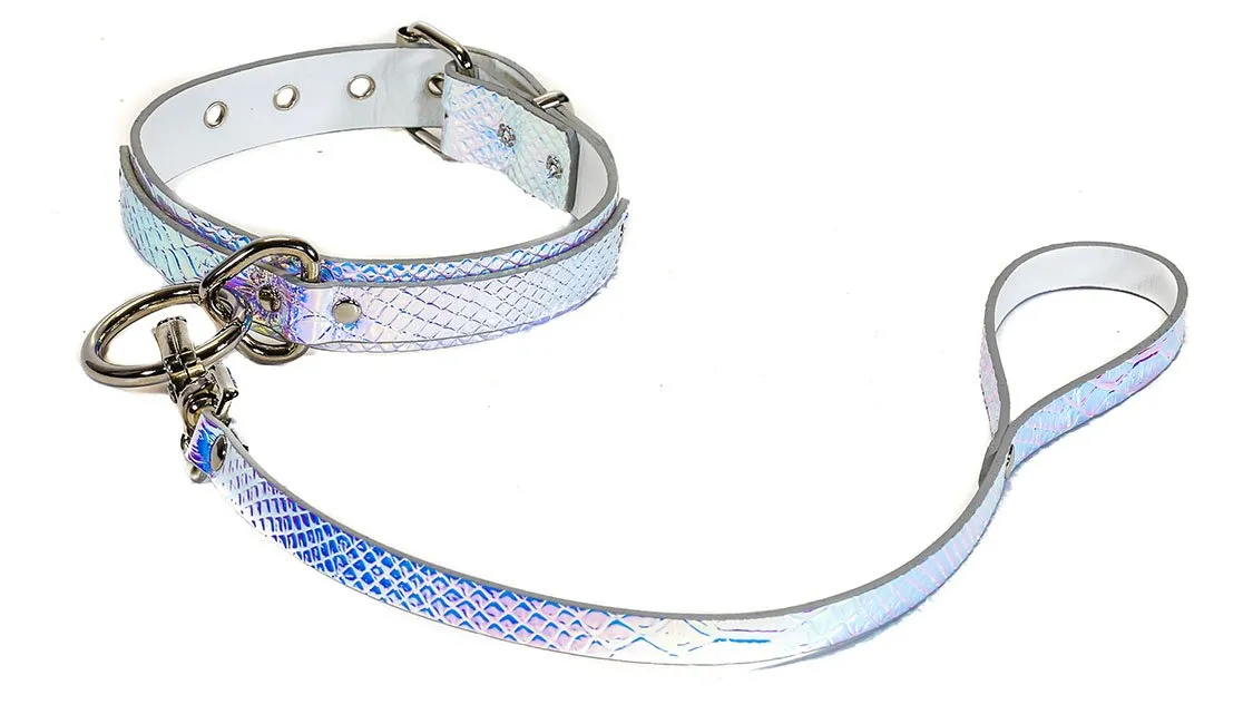 Leash Rainbow Choker