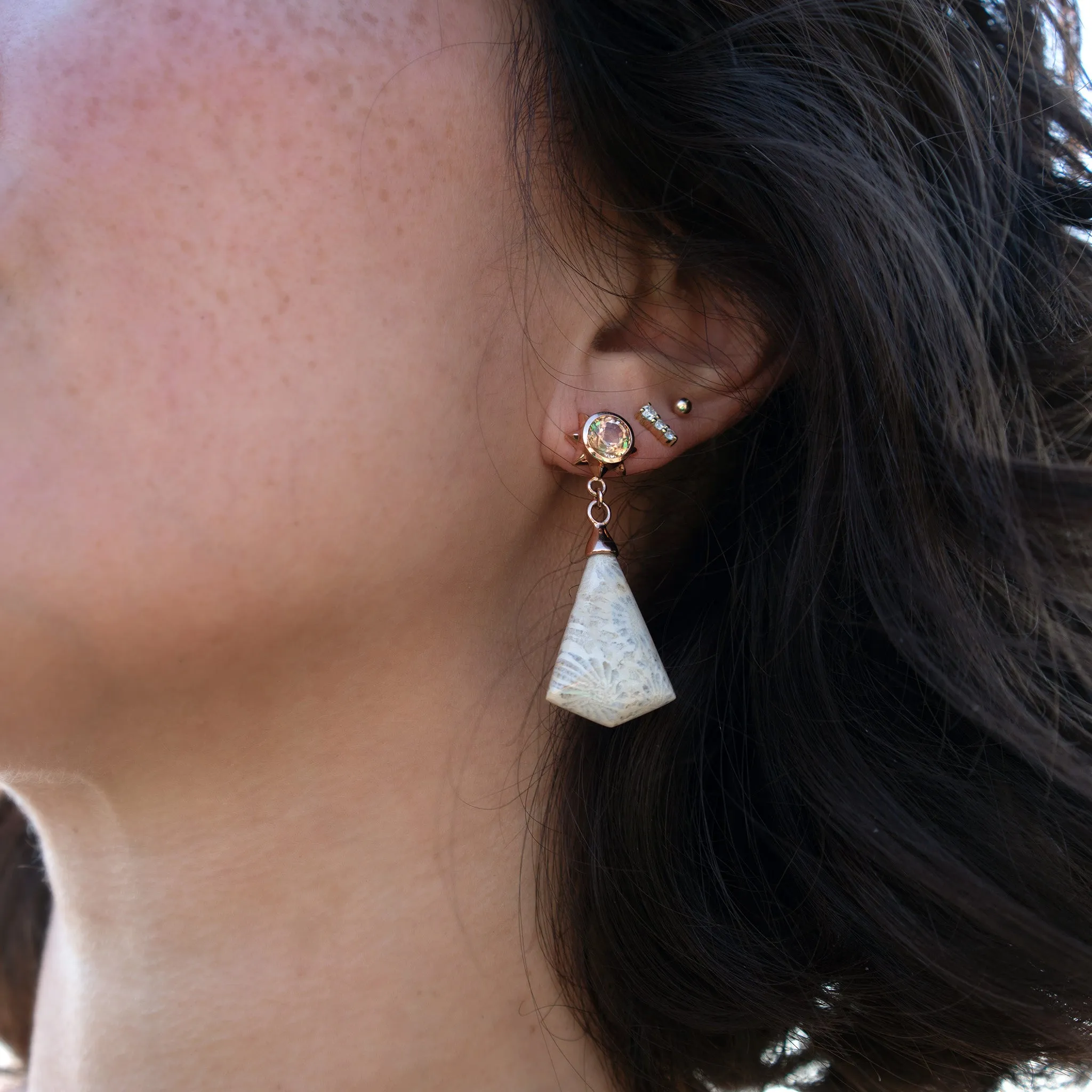 Special Edition “Star Dust” Petrified Coral Drop Earrings with Autumn Tourmaline